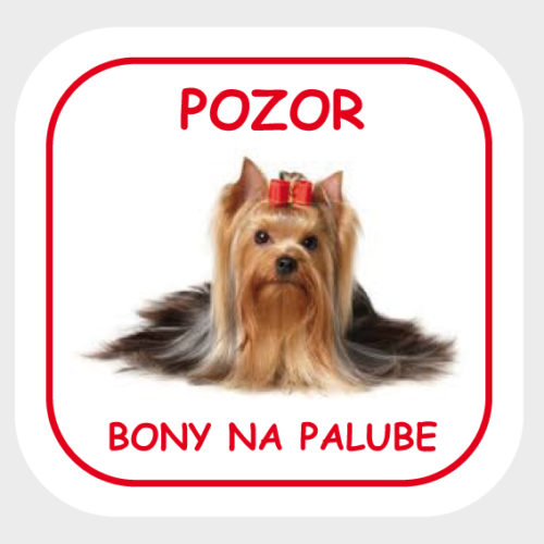 Pes v aute - vlastná fotka + text