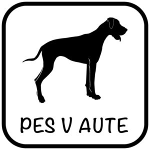 Pes v aute - samolepiaca dekoračná nálepka