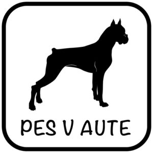 Pes v aute - samolepiaca dekoračná nálepka