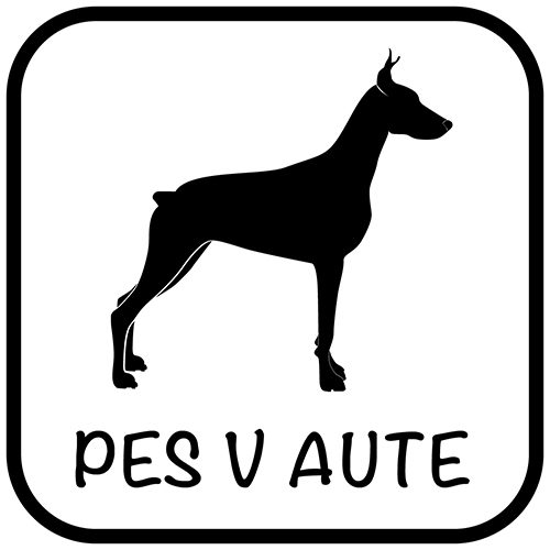 Pes v aute - samolepiaca dekoračná nálepka