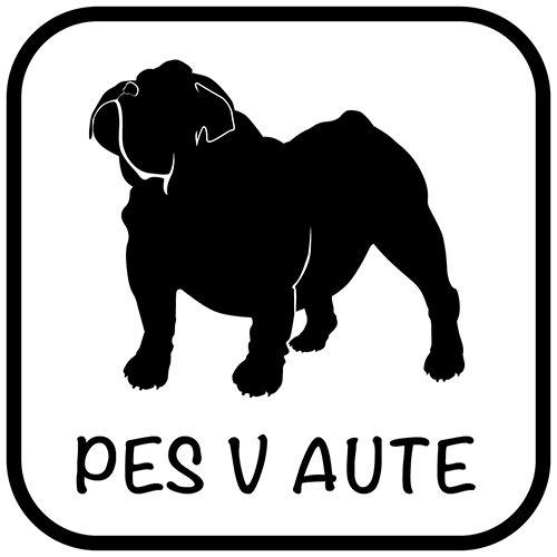 Pes v aute - samolepiaca dekoračná nálepka