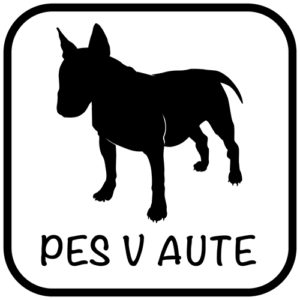 Pes v aute - samolepiaca dekoračná nálepka