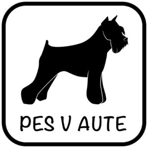 Pes v aute - samolepiaca dekoračná nálepka
