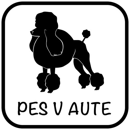 Pes v aute - samolepiaca dekoračná nálepka