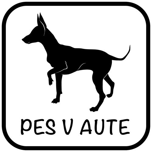 Pes v aute - samolepiaca dekoračná nálepka