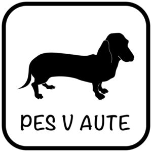 Pes v aute - samolepiaca dekoračná nálepka