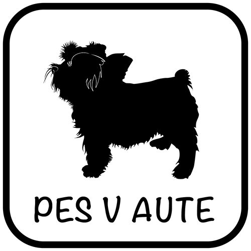 Pes v aute - samolepiaca dekoračná nálepka